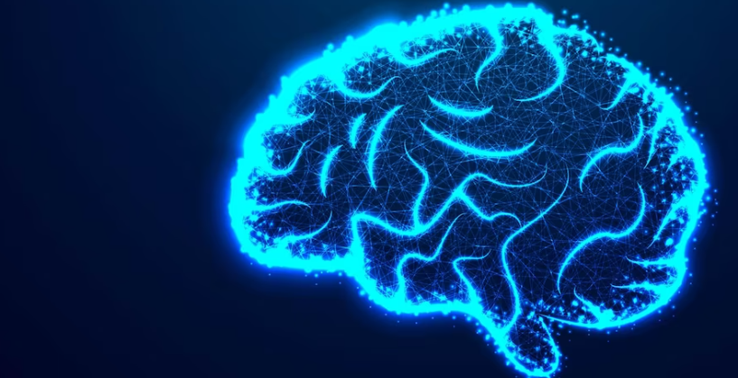 Plum学派对昏迷的分类 Plum学派对昏迷的分类