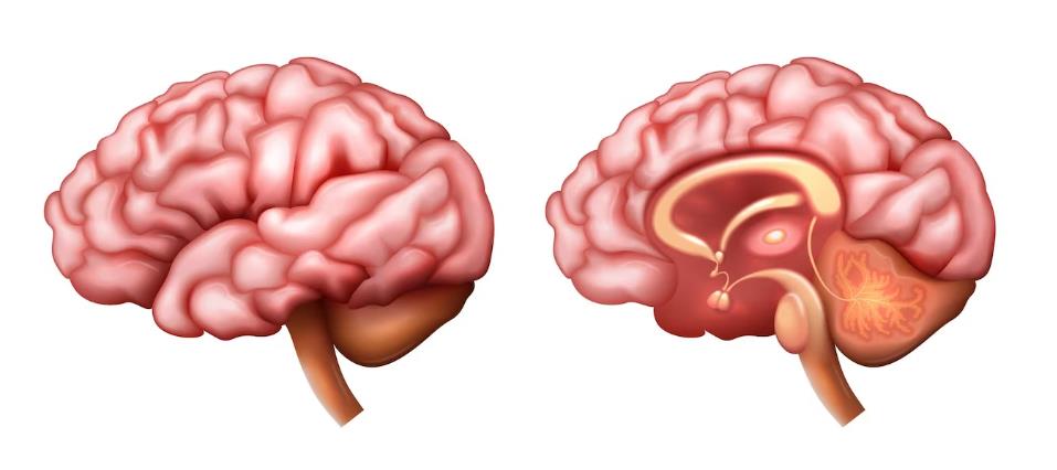 深度昏迷清醒的前兆 深度昏迷清醒的前兆