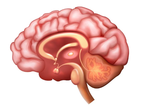 脑出血患者多久能自主呼吸